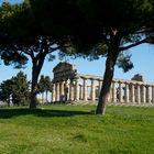 Magna Grecia "Tempio di Paestum"