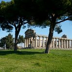 Magna Grecia "Tempio di Paestum"