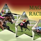 Magna Racino