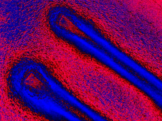 Magnetic Field - Two (3D)