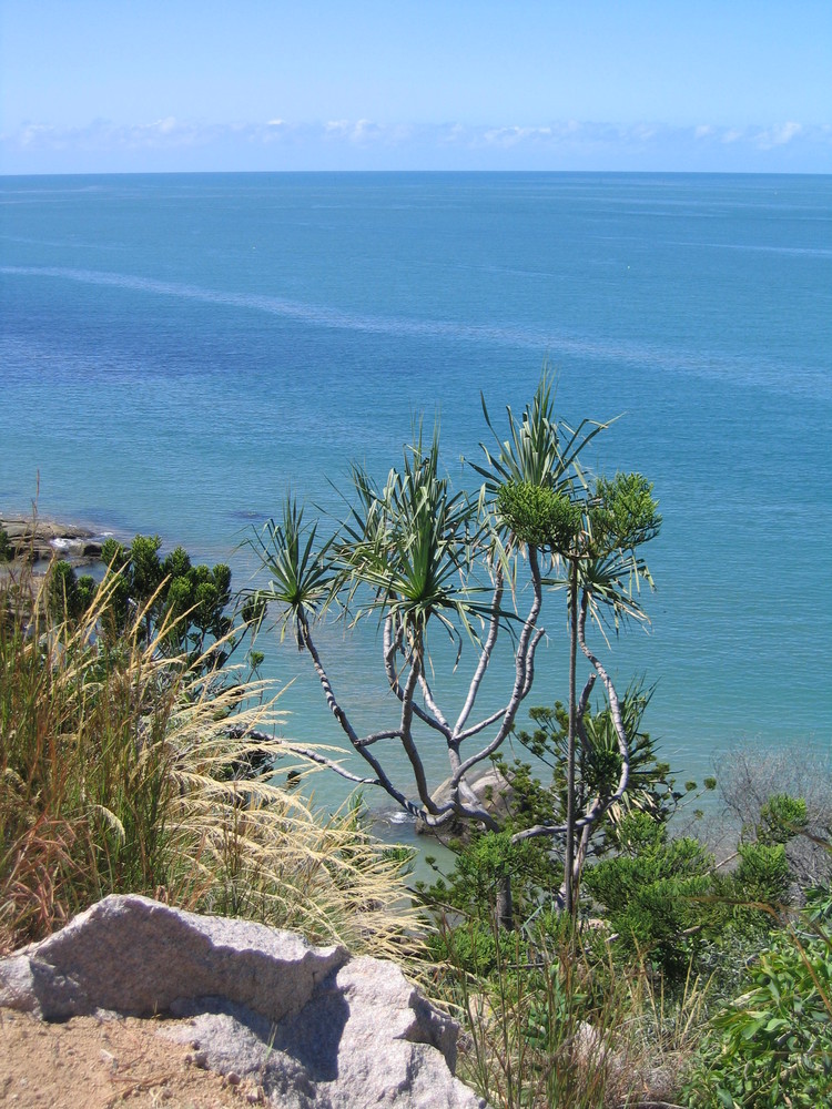 Magnetic Island - Queensland / Australia