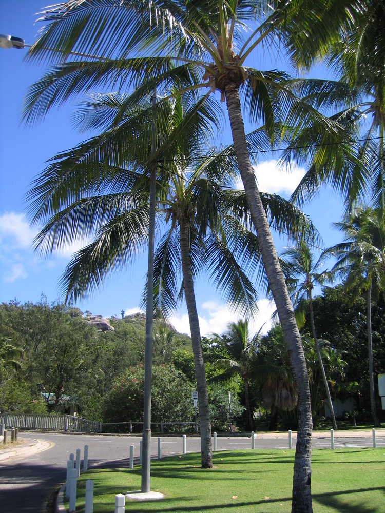 Magnetic Island - Queensland / Australia