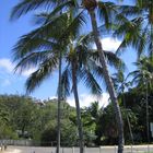 Magnetic Island - Queensland / Australia