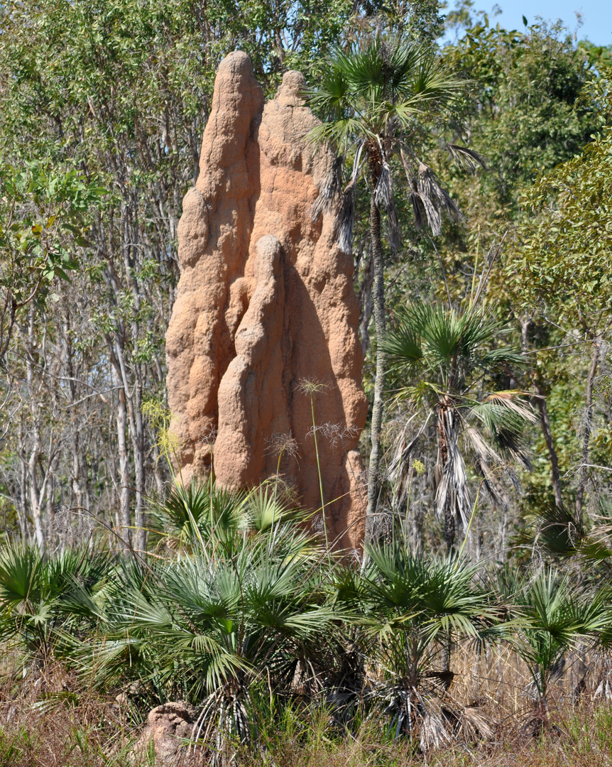 Magnetic termites