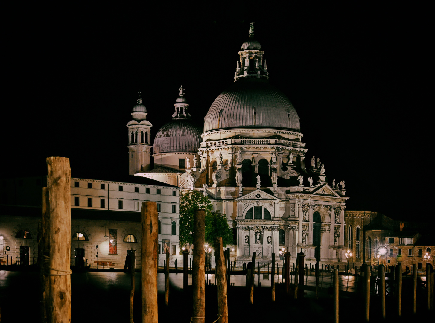 Magnifici palazzi veneziani