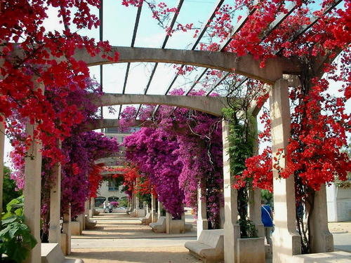 " MAGNIFIQUE AU CENTRE DE VILLE D AJACCIO"