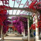 " MAGNIFIQUE AU CENTRE DE VILLE D AJACCIO"