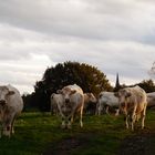 magnifique Auvergne...