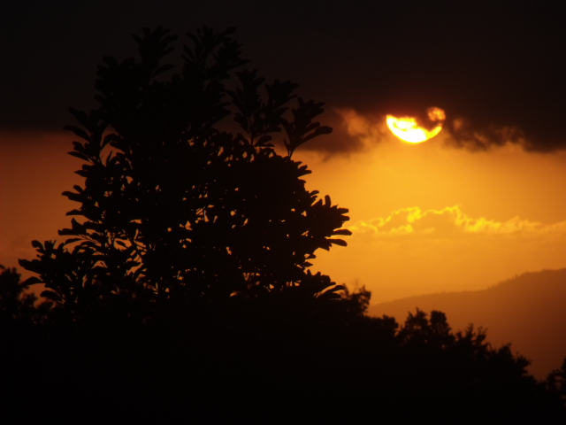 Magnifique Coucher de soleil au Domaine Vidot