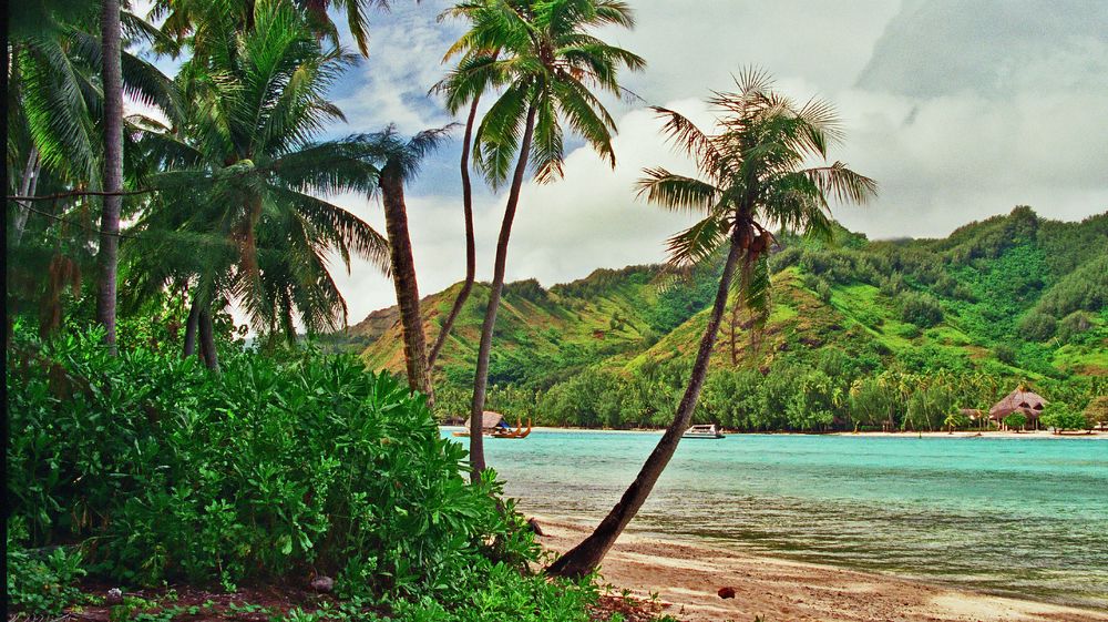 Magnifique Naturelle Moorea