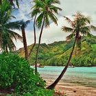 Magnifique Naturelle Moorea