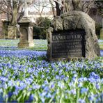 Magnifriedhof Braunschweig