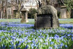 Magnifriedhof Braunschweig