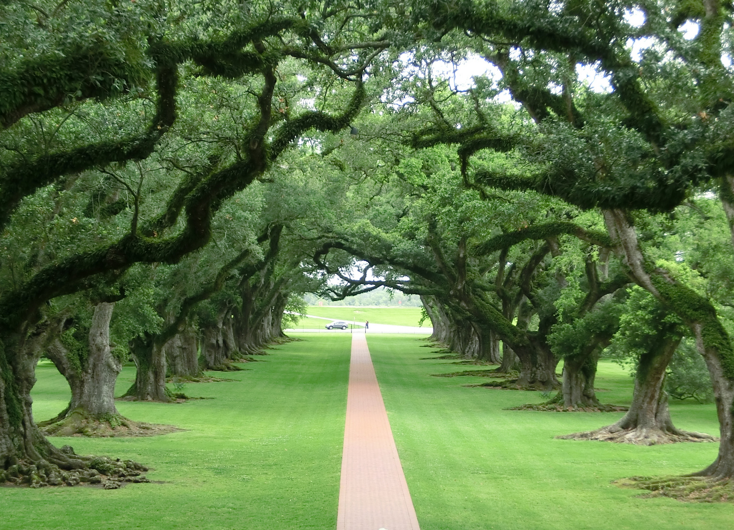 Magnolia Plantation