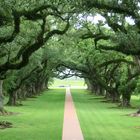 Magnolia Plantation