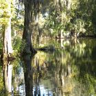 magnolia plantation..........south carolina