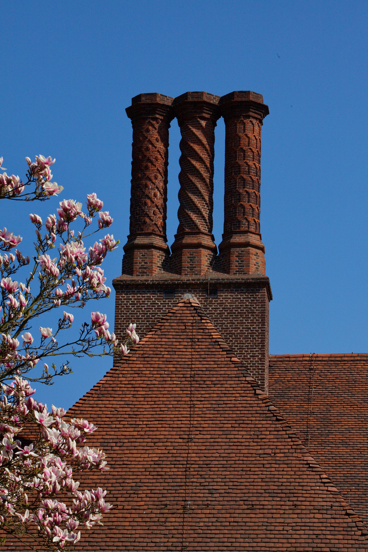 Magnolias and Chimneys