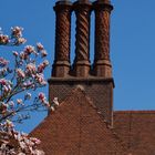 Magnolias and Chimneys