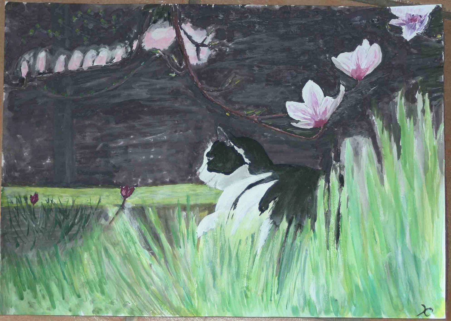 Magnolie mit Kater