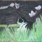 Magnolie mit Kater