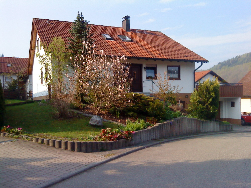 Magnolieblüte  auf der Alb