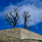 Magnolien-Bäume auf der Festung