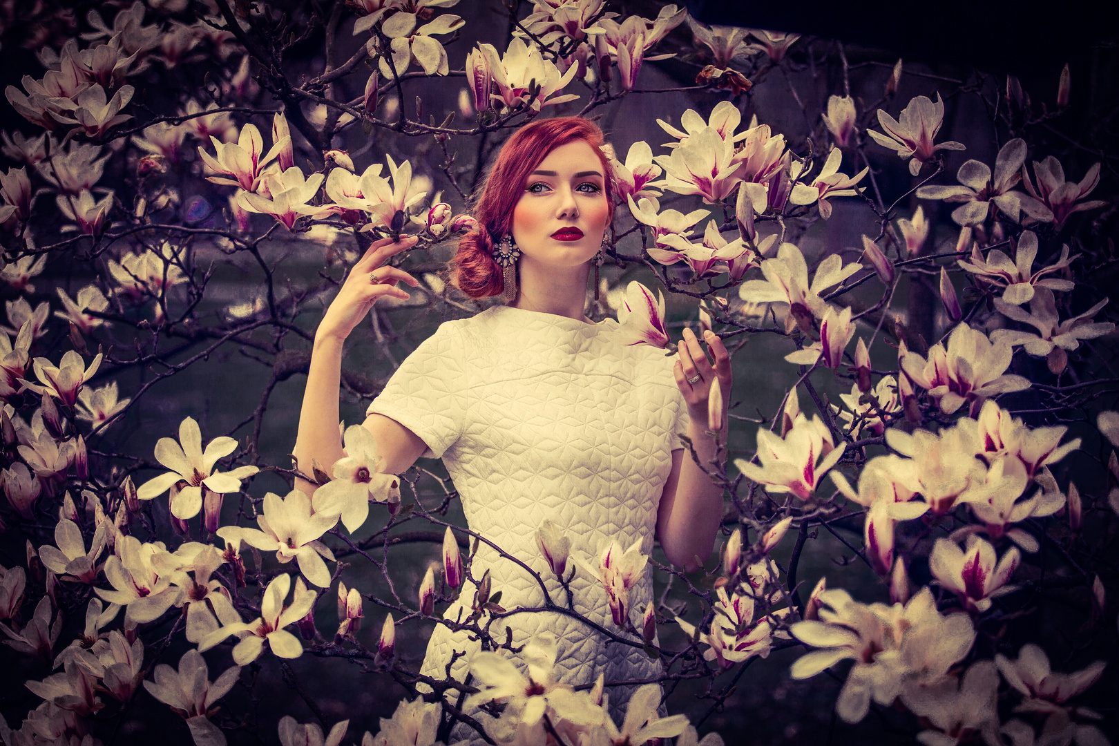 Magnolien-Shooting