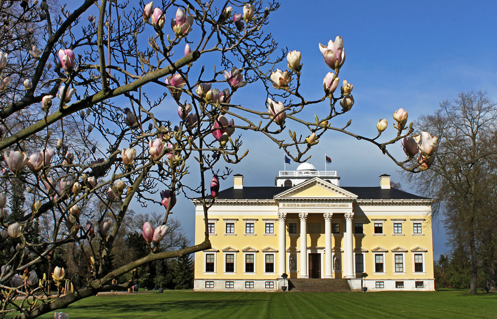 MAGNOLIEN VOR SCHLOSS WÖRLITZ