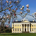 MAGNOLIEN VOR SCHLOSS WÖRLITZ