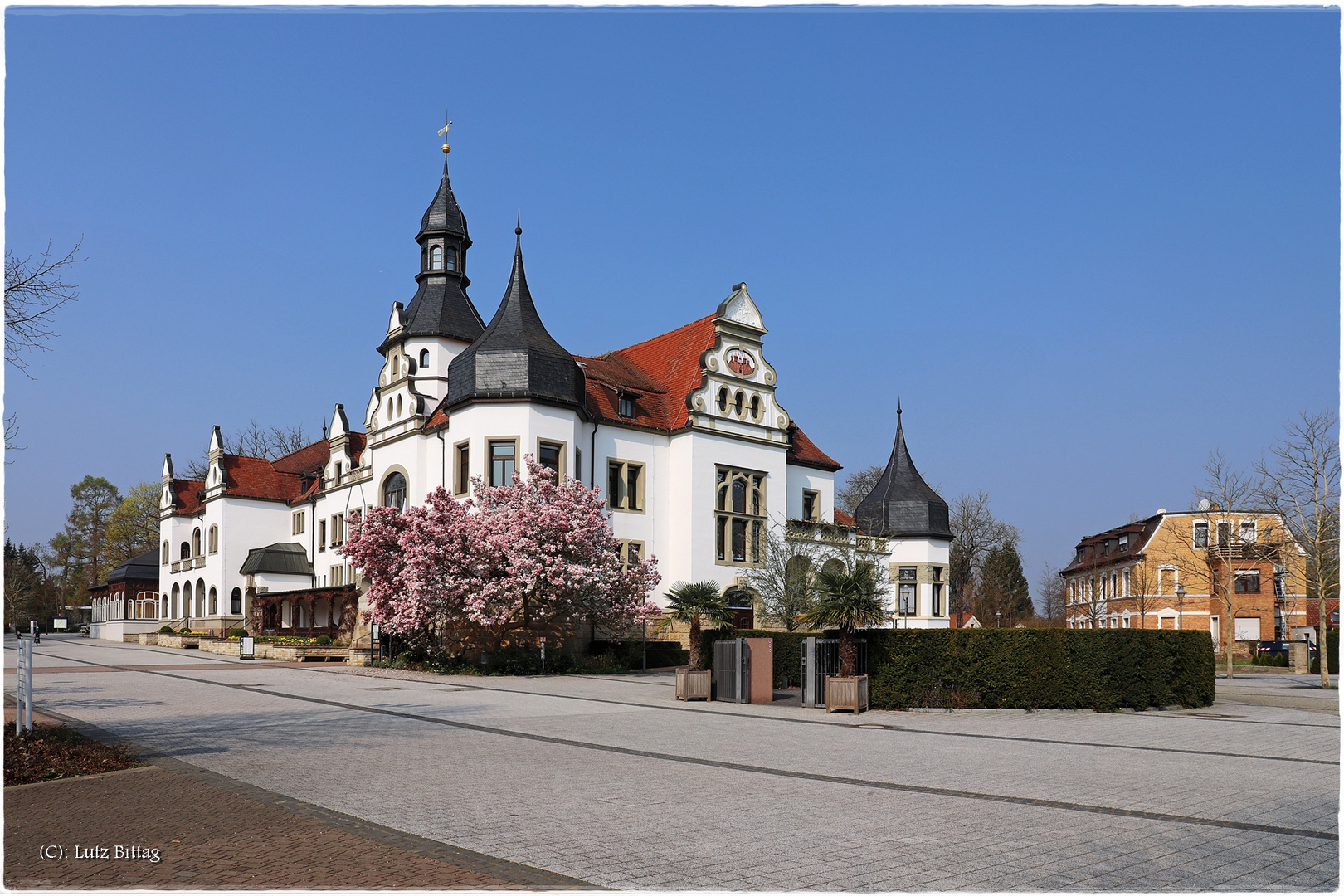 Magnolienbäume vor dem Kurhaus