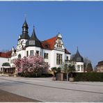 Magnolienbäume vor dem Kurhaus