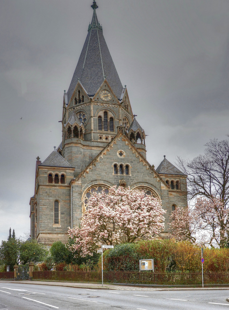 Magnolienblüte am Ölberger Dom