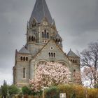 Magnolienblüte am Ölberger Dom