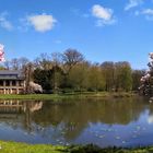 Magnolienblüte im Bremer Bürgerpark