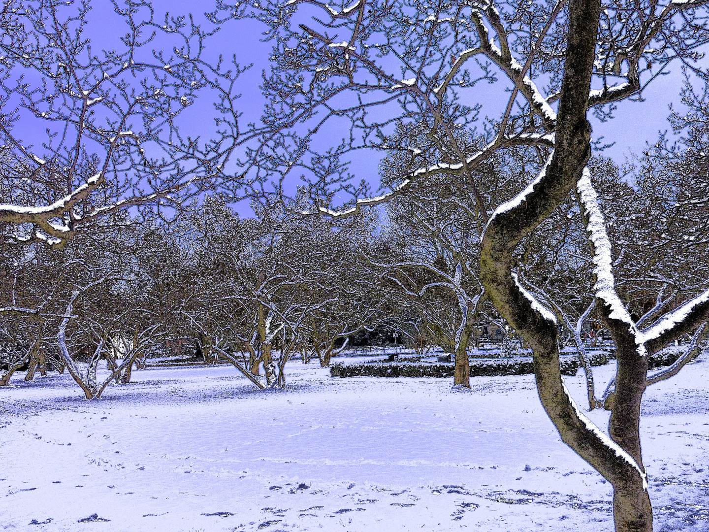 Magnoliengarten im Winter