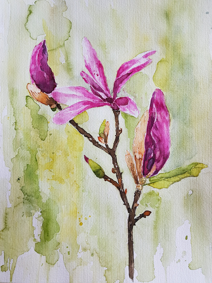 Magnolienzweig