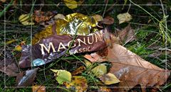 Magnum ...