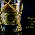 Magnum vectigal est parsimonia