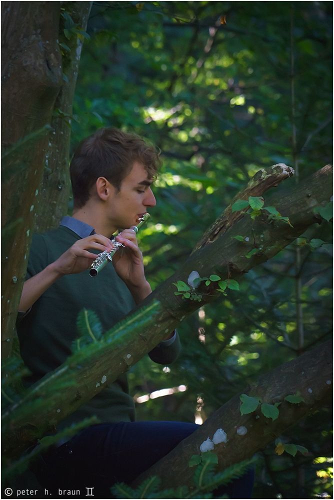 Magnus Mihm spielt Debussy im Baum