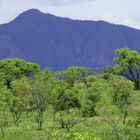 Mago National Park, ethiopia