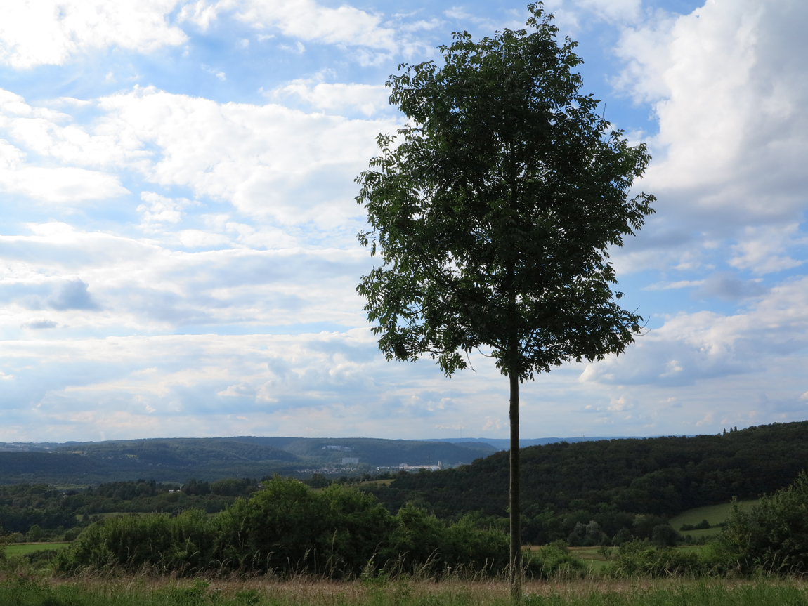 Magritte-und-die-Welt