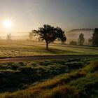 Magstadt im Herbst