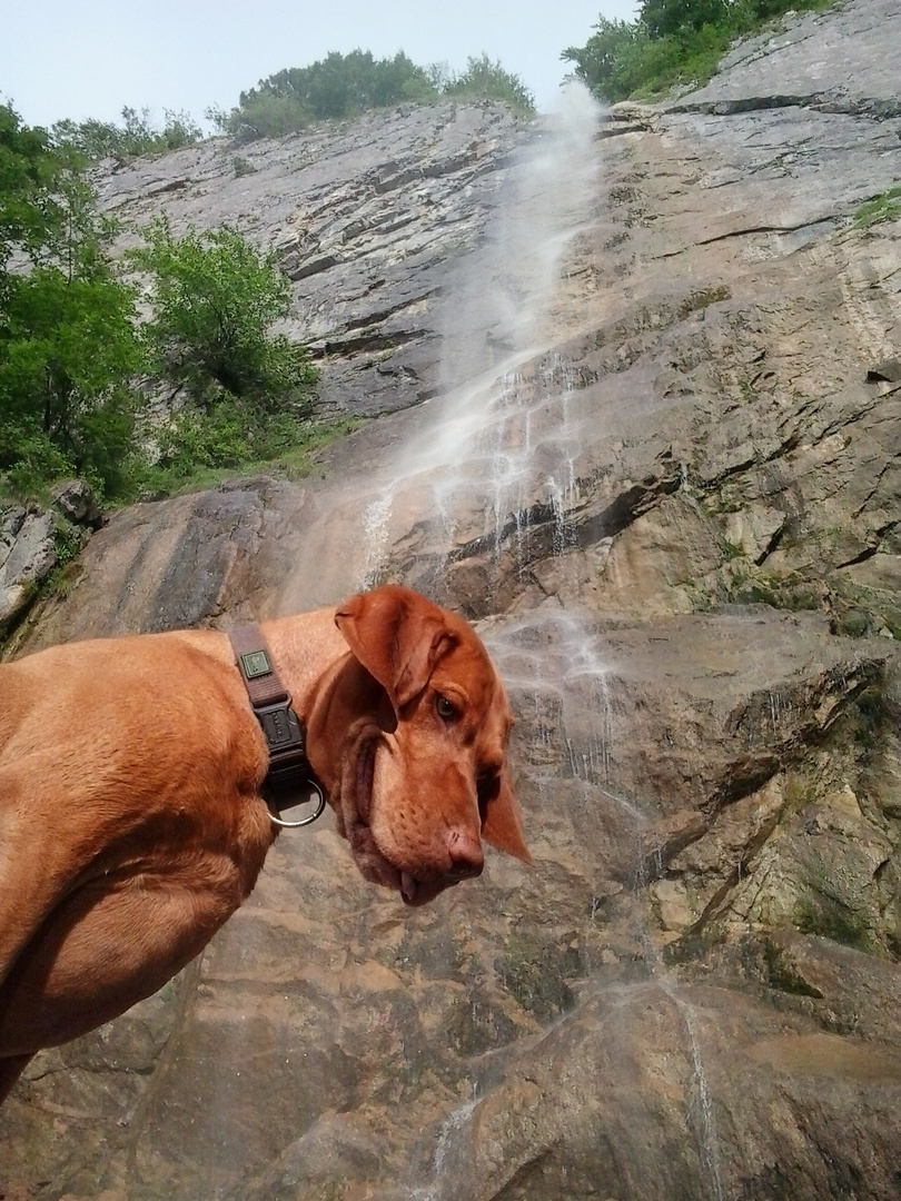 Magyar Viszler mit Wasserfall