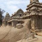 Mahabalipuram (Ufertempel der Pallava Dynastie)