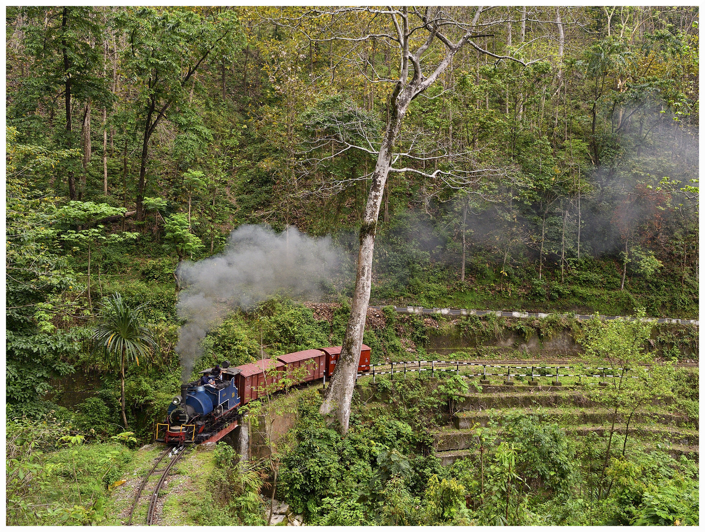 Mahananda Wildlife Sanctuary