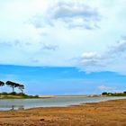 Mahasilawewa, Yala national park