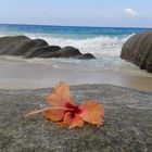 Mahe, Seychellen