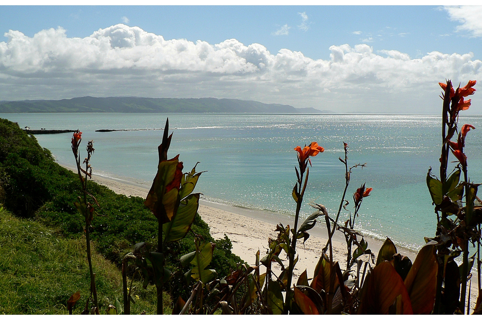 Mahia Peninsula (2)