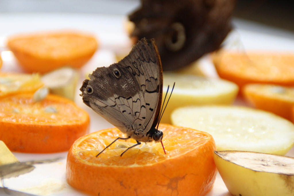  Mahlzeit!   