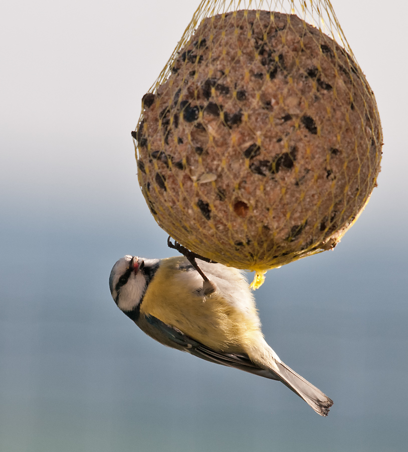 Mahlzeit!